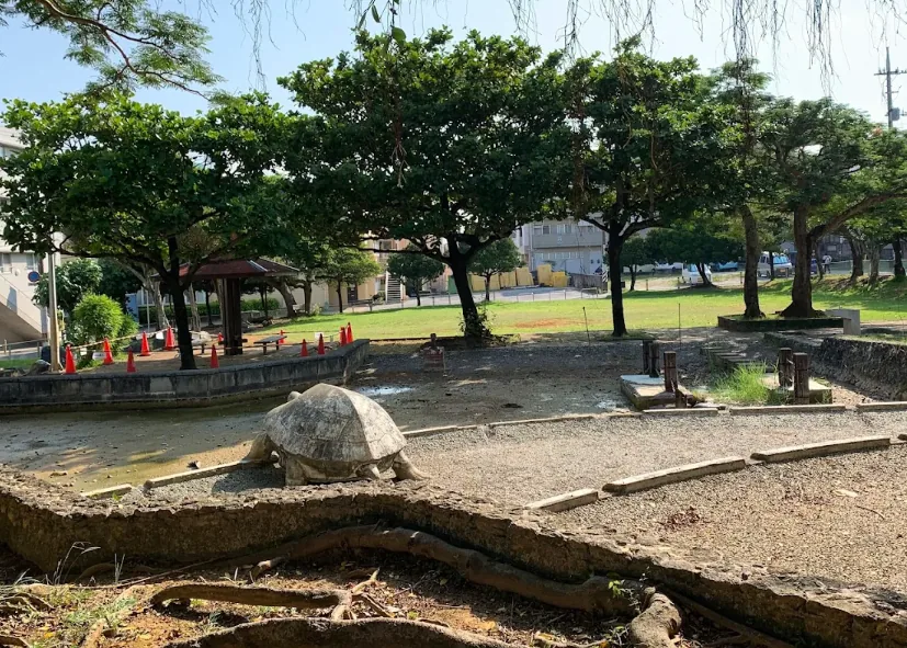 宜野湾市わかたけ公園の池